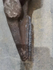 Kova diş ucu 4rt tungsten toz karbür