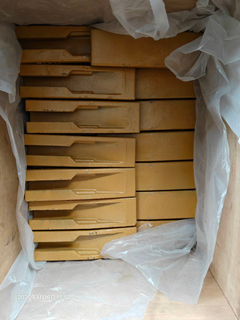 Riper Dişi F5106746